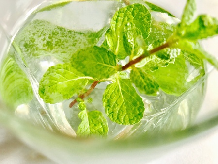Some of peppermint leaves in a bowlの素材