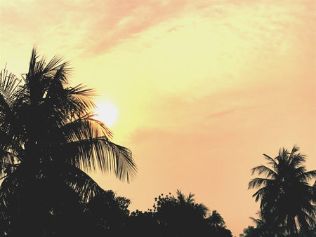 The sky in the dawnの素材