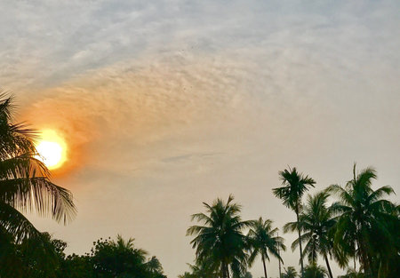 The sky in the dawnの素材