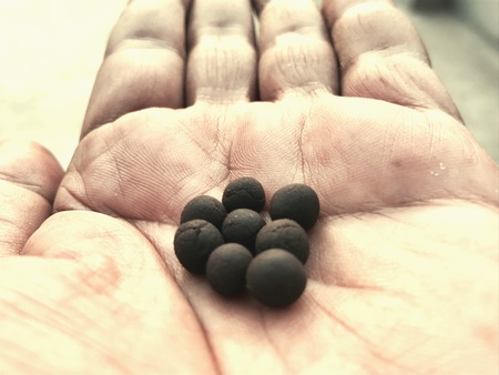 A herbal tablet in a handの素材