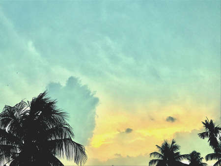 A natural scenery of the skyの素材