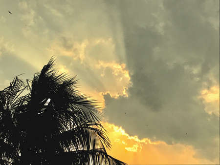The cloudy sky in the eveningの素材