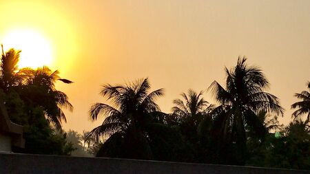 The dawn time and the natureの素材