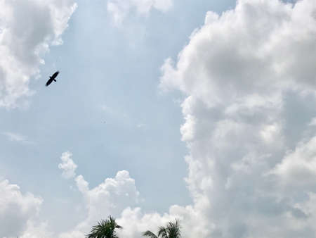 A white cloudscape in the skyの素材