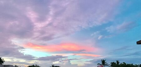The twilight sky and treesの素材