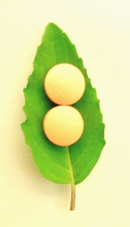 Ayurvedic tablets in a basil leafの素材