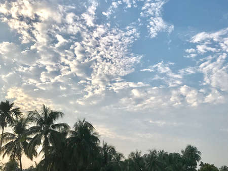 A beautiful natural scenery with clouds and treesの素材
