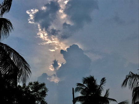 natural scenery with the stormy clouds sky and trees