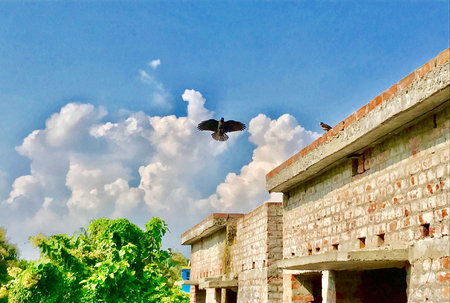 A pigeon is flying in the blue sky and beautiful cloudscape in the blue background