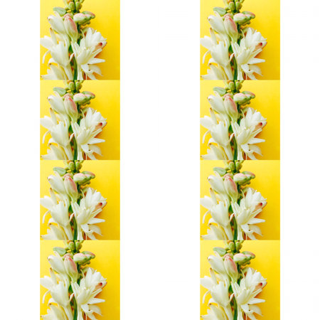 A beautiful design made with tuberose flowers
