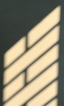 A beautiful designed reflection in a wallの素材