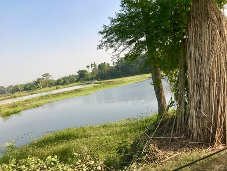 A beautiful natural scenery with a beautiful lake or river in a natural environment in a rural area. Its a very nice natural landscape in the village or countrysideの素材