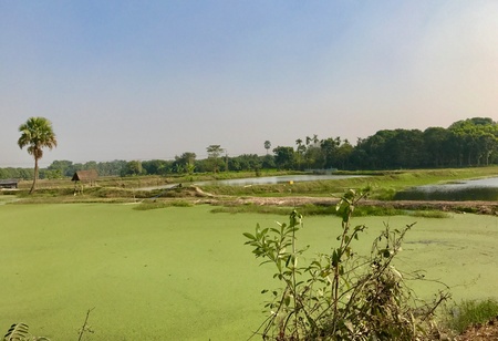 A beautiful natural scenery with a beautiful lake or river in a natural environment in a rural area. Its a very nice natural landscape in the village or countrysideの素材