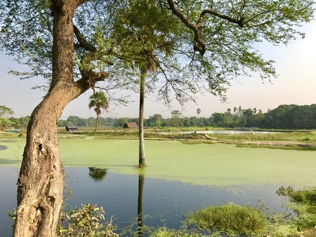 A beautiful natural scenery with a beautiful lake or river in a natural environment in a rural area. Its a very nice natural landscape in the village or countrysideの素材