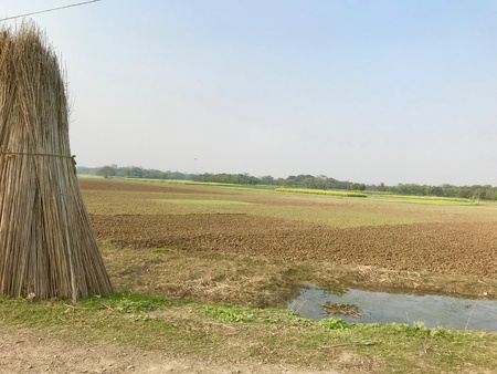 A beautiful natural scenery with an agricultural field and sky in the rural India. Its a very nice natural landscapeの素材