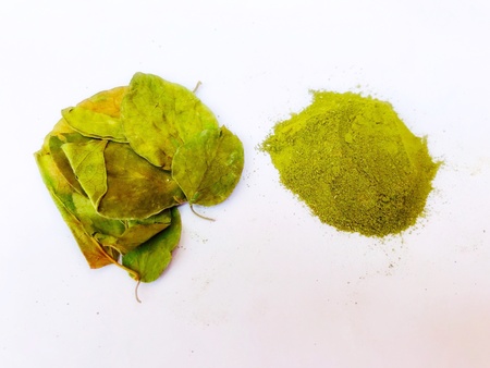 Dried leaves of Gymnema sylvestre or Australian cowplant and powderの素材
