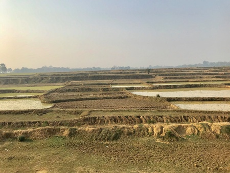 A natural scenery with an agricultural field in the rural Indiaの素材