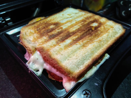A grilled bread with cheese sandwich
