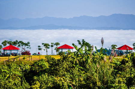 Visit Bangladesh, Visit Sajekのeditorial素材