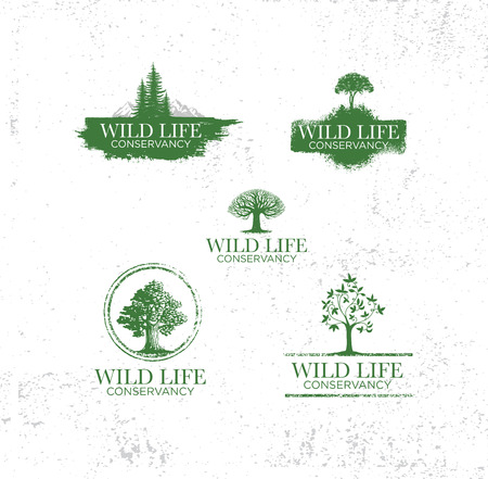 Adventure emblems with different travel design elements Earth mountains trees silhouettes retro sun raysのイラスト素材