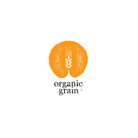 Agriculture Organic Grain Rough Vector Illustration Templateのイラスト素材