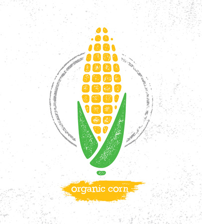 Organic Sweet Corn On The Cob Creative Vector Design Element For Menu Design. Healthy Food Illustration Concept On Textured Background.のイラスト素材