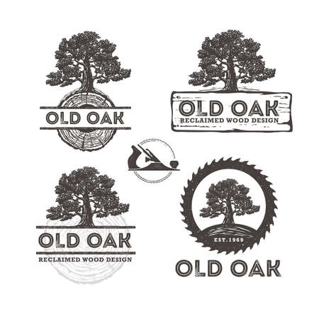 Old Oak Reclaimed Barn Wood Craft Rustic Sign Design Concept. Workshop Artisanal Logo. Natural Vector Banner Illustration Setのイラスト素材