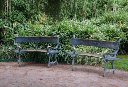 Forged bench in an exotic park in high qualityの写真素材