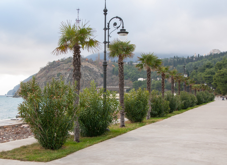 exotic embankment on a cloudy day in high qualityの写真素材