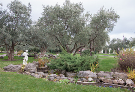 olive trees and ancient sculpture in an exotic park in high qualityの写真素材
