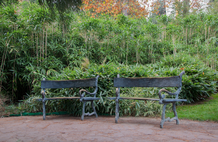 Forged bench in an exotic park in high qualityの写真素材