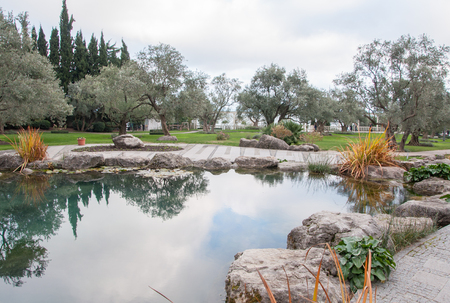 beautiful pond with blue water in an exotic park in high qualityの写真素材