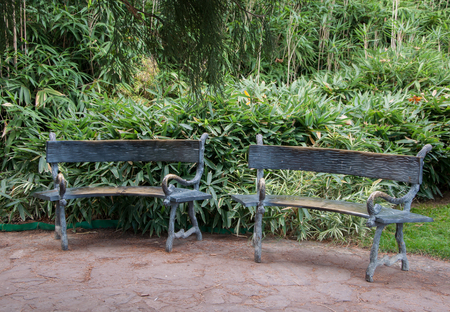 Forged bench in an exotic park in high qualityの写真素材