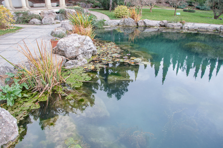 beautiful pond with blue water in an exotic park in high qualityの写真素材