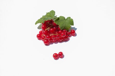 red currant with leaves on a white background in high qualityの写真素材