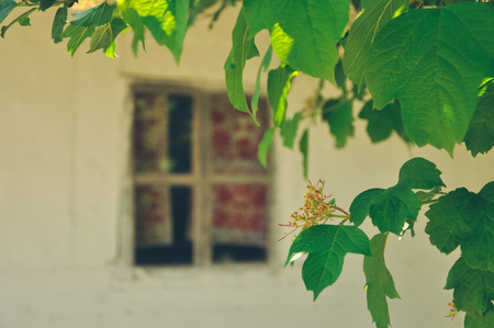 Vintage wooden window in the Ukrainian national style in high qualityの写真素材