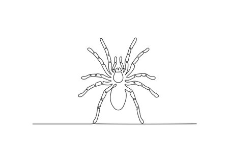 Spider continuous line drawing. Isolated on white background. Vector illustration.のイラスト素材