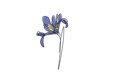 Blue iris flower on a white background. Isolated vector illustration.のイラスト素材