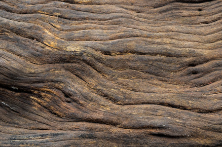Worn old timber background in brown.の写真素材