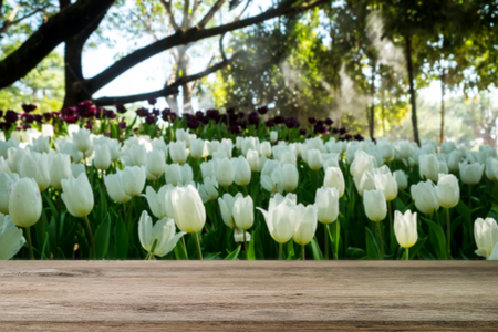 empty brown wooden table and tulips blur background image, for product display montageの写真素材