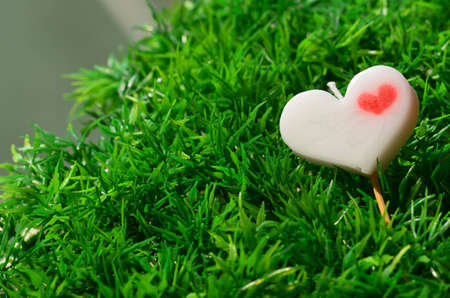 love candleの写真素材