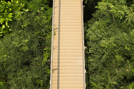 Top view of the wooden skywalk in outdoor green parks.の写真素材