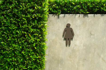 Toilet symbol for women on cement background and tree.の写真素材