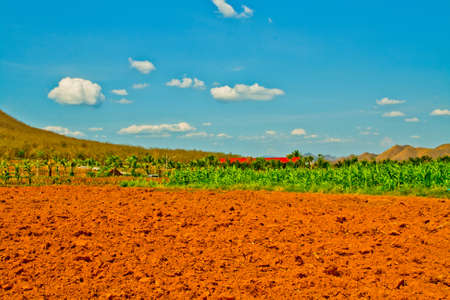 Blue sky on farmland, petburi ,Thailandの写真素材