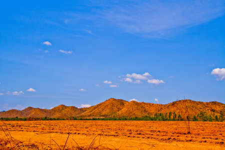 Blue sky on farmland, petburi ,Thailandの写真素材