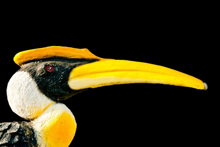 brid in the park of temple ,thailandの写真素材