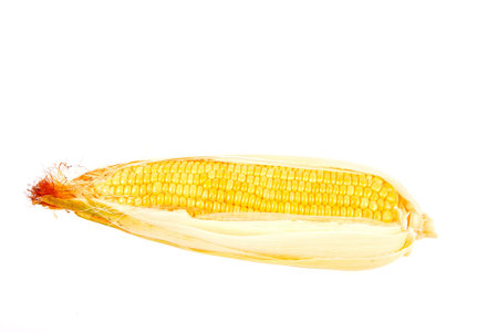 raw corn  on white blackground