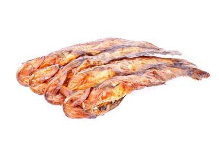dry siluridae fishs on white backgroundの写真素材