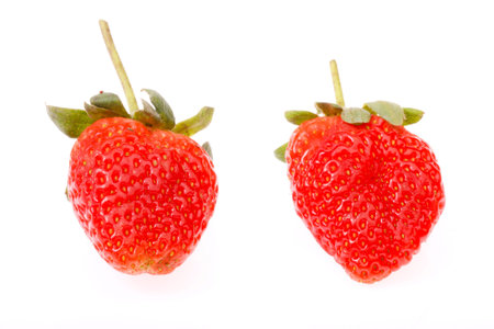colourful strawberry on white backgroundの写真素材