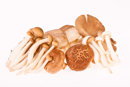 mushrooms and sweet pepper on whiteの写真素材